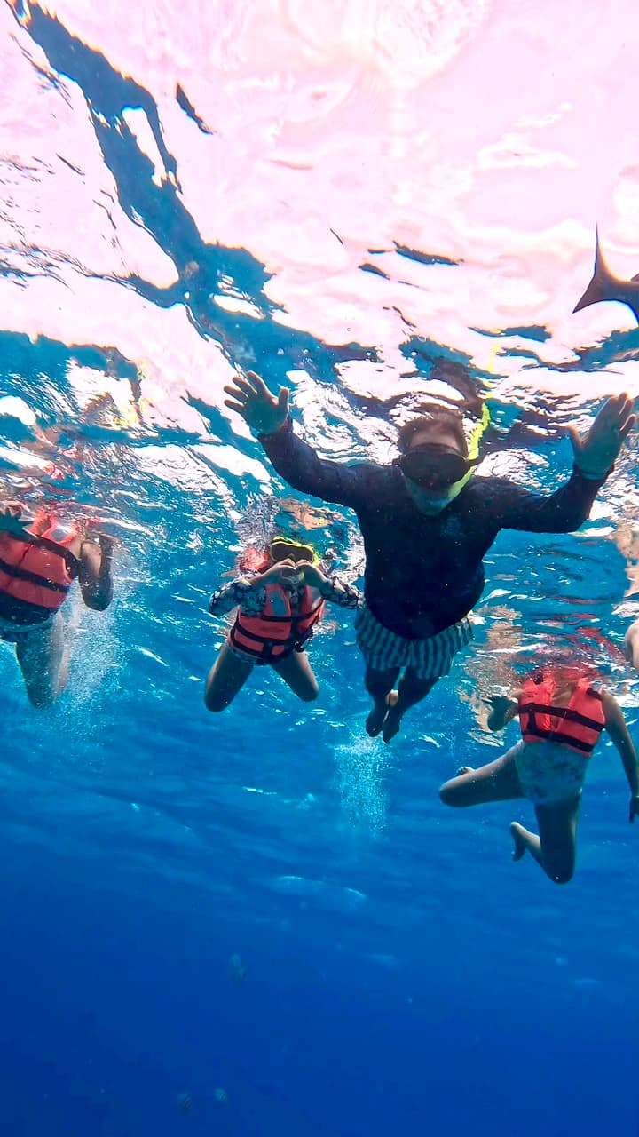 Blanquizal + Snorkel - luxury yacht experience in Cancún