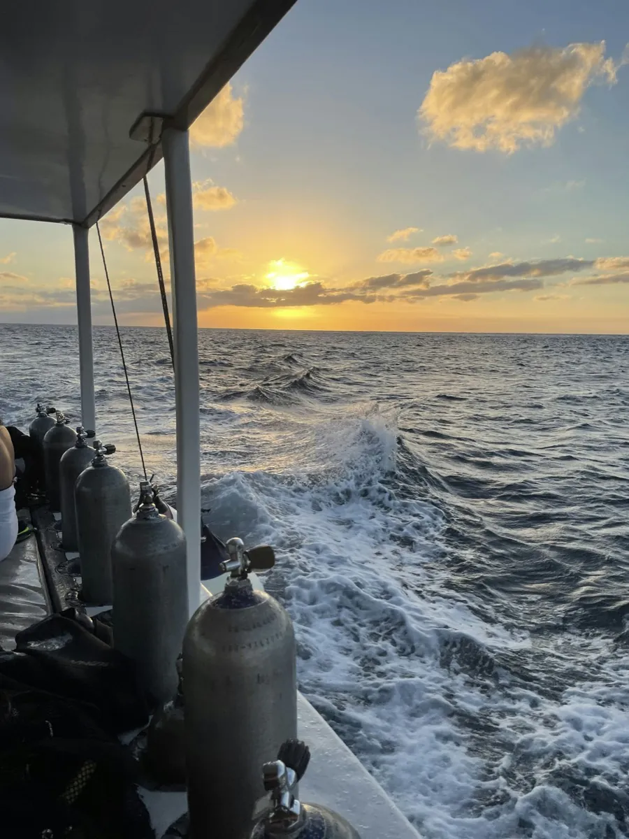 Sunsets & Celebrations - luxury yacht experience in Cancún